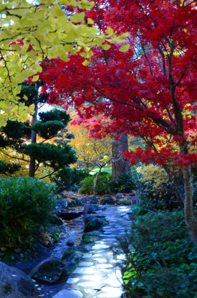 Just kicking down the cobble stones...