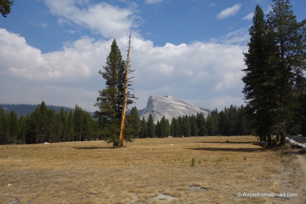 Tuolumne Meadows - Eastern Yosemite National Park