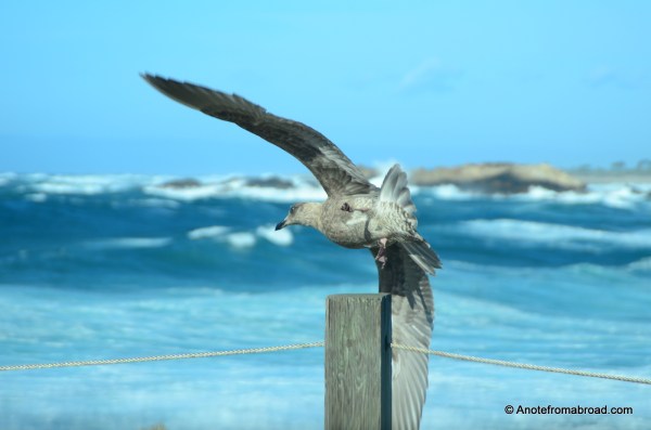 Cleared for take-off