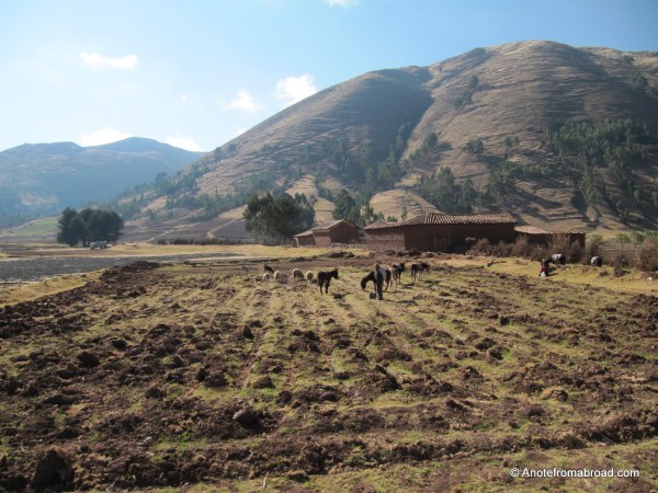 The Sacred Valley