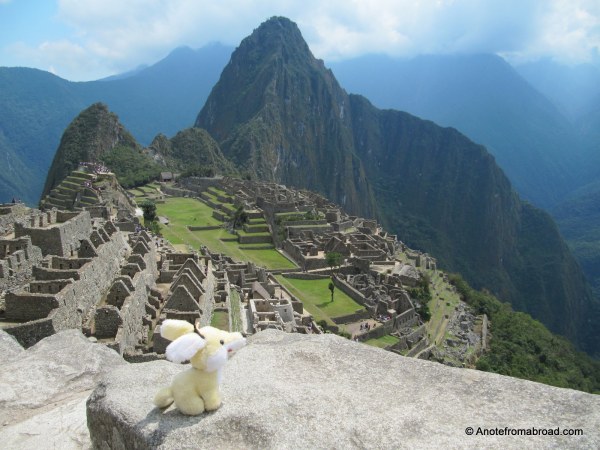 View from the top with Gus