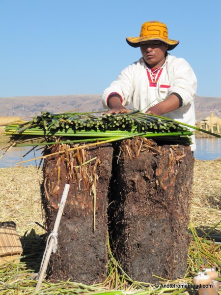 Demonstration of how islands are built