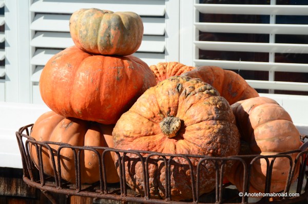 Pumpkin basket