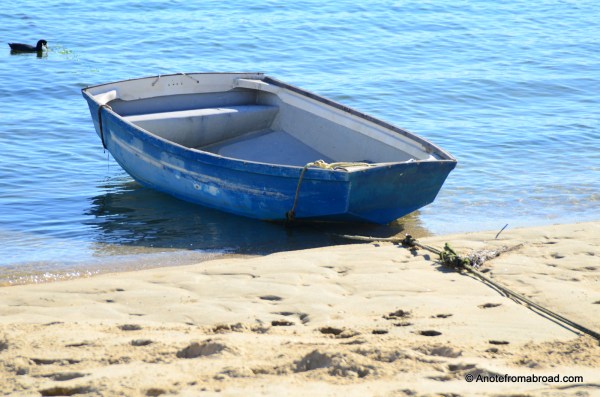 Blue boat