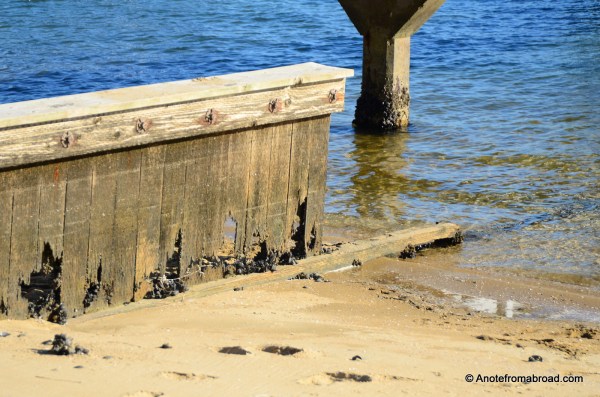 In need of some repair