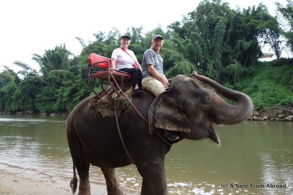 Elephant ride