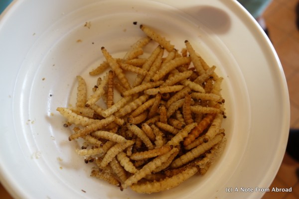 Fried Bamboo worms