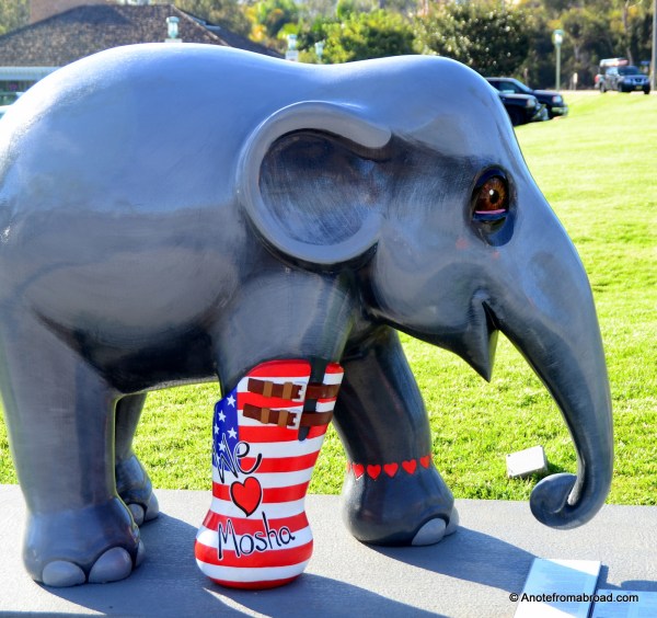 Mosha - the inspiration for Elephant Display