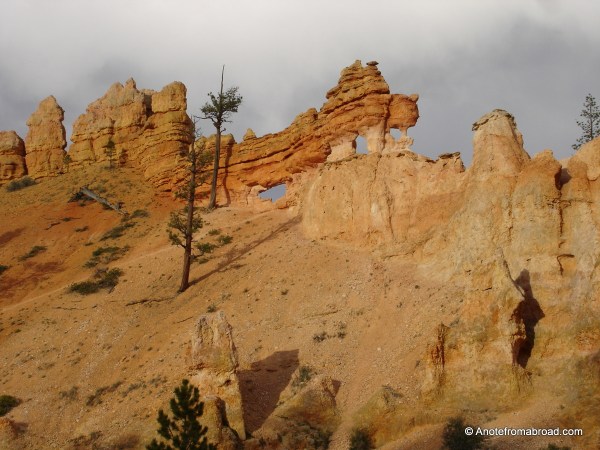Rock formations above Mossy Cave