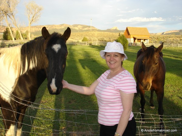 Horses on the property