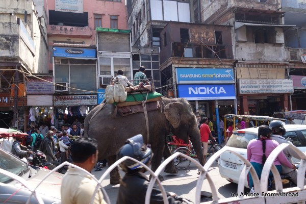 Elephant mixed in with the traffic