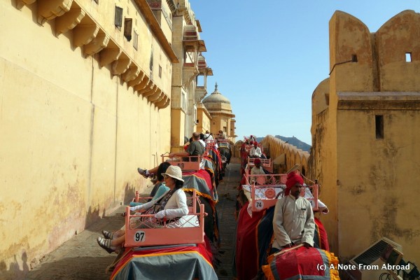 Elephant ride up the hill to the Amber Fort