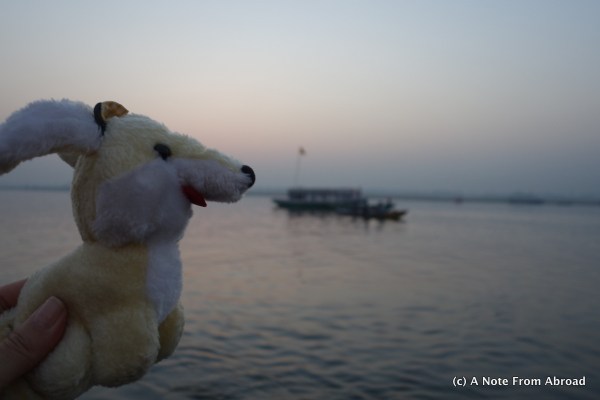Gus on the Ganges