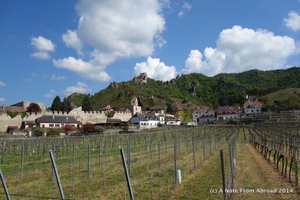Vineyards and the castle high on the hill