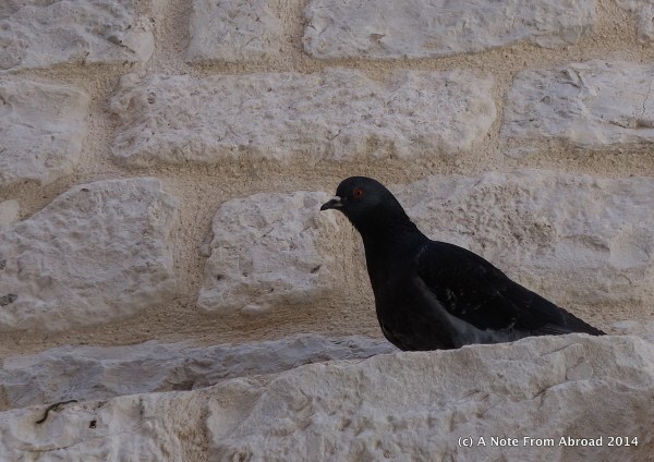 Contrast of light and dark