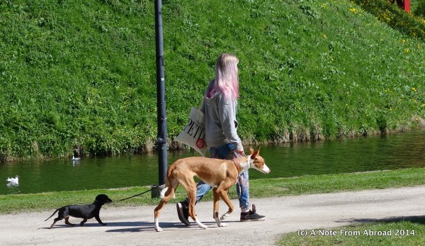 Poor little guy in the back had to run to keep up