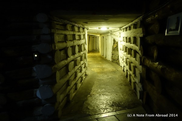 Wooden siding, rock salt floors