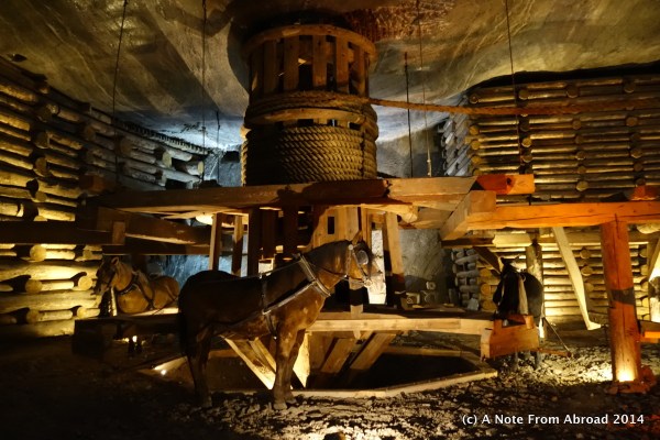 Shows how horses were used to help raise the salt back to the surface