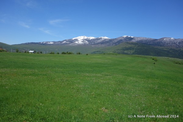 Green fields and snow capped mountains along our drive