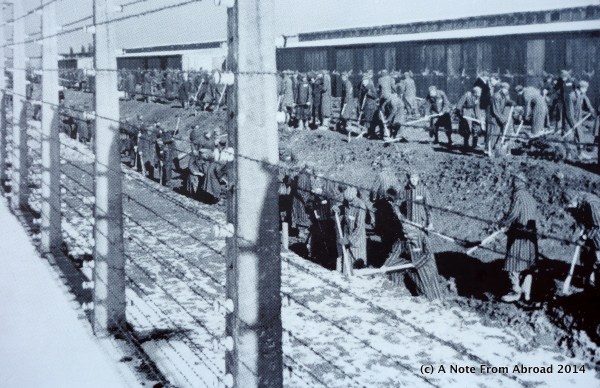 Work crews, perhaps digging mass graves???