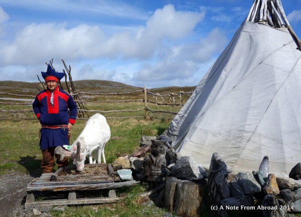 Sami with reindeer