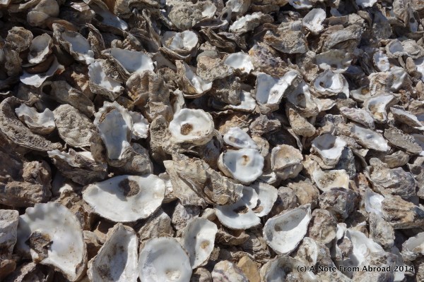 The oyster shells are recycled and replanted in the sea