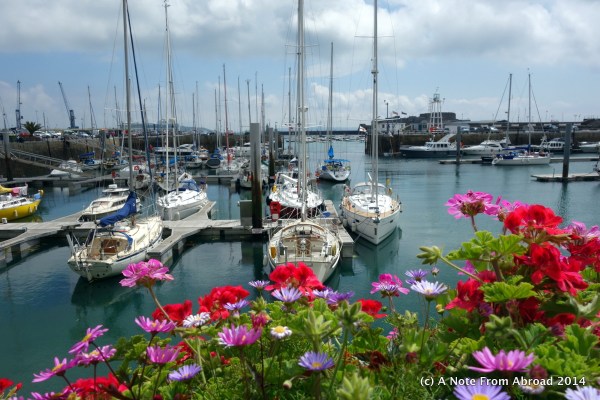 Boats and flowers