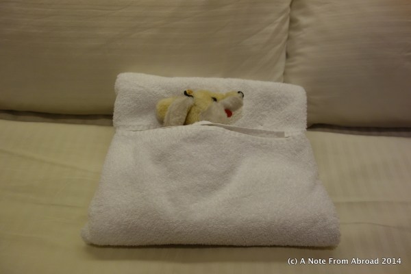 Gus had a long day and is ready for some sleep