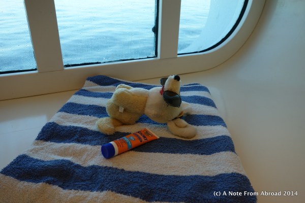 Gus working on his tan