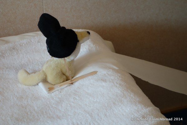 Skiing Gus about to go down the ski jump