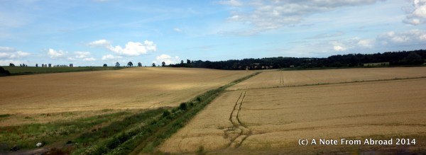 Fields along the train ride