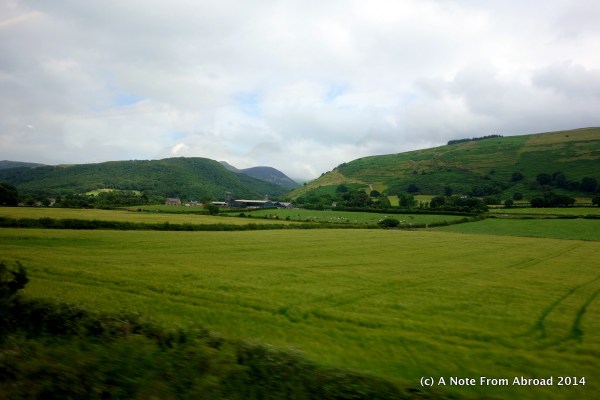 Green pastures as seen from the train - North Wales