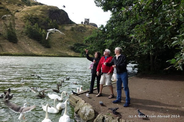 Karen, Dick and Tim throwing bread for the birds to catch