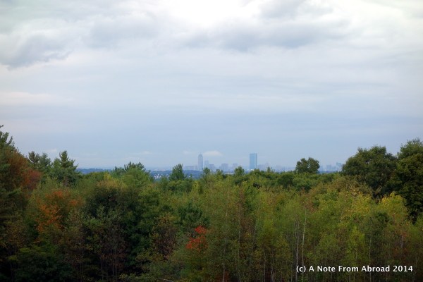 Boston Skyline