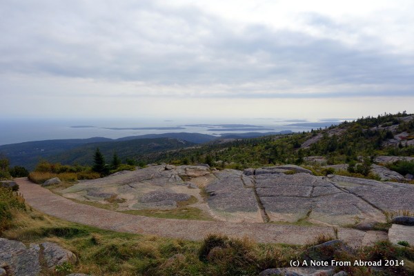 On top of Cadillac Mountain