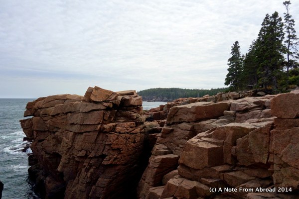 Rocks near Thunder Hole