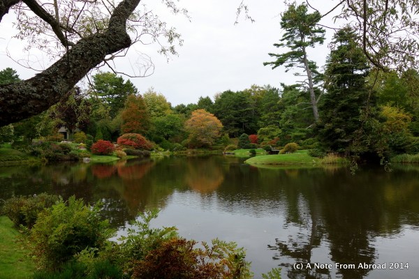 Acadia National Park, gardens perfect for weddings and photography