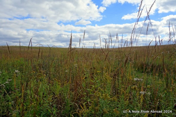 Tall grass prairie land