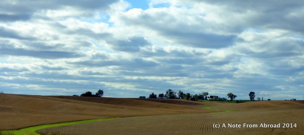 Amber waves of grain
