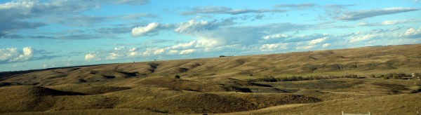 How grand, how empty, how magnificent