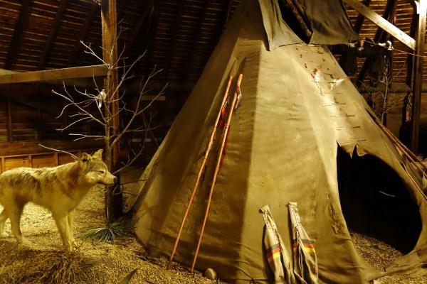 From Dances With Wolves