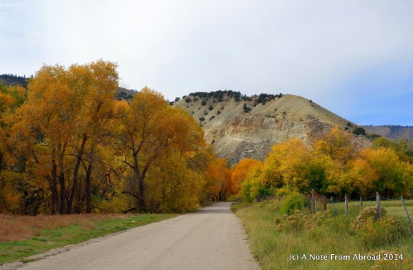 Tree shaded dirt roads