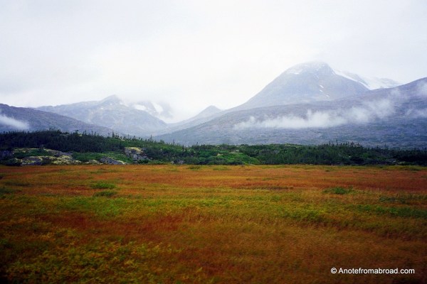 A meadow in Alaska