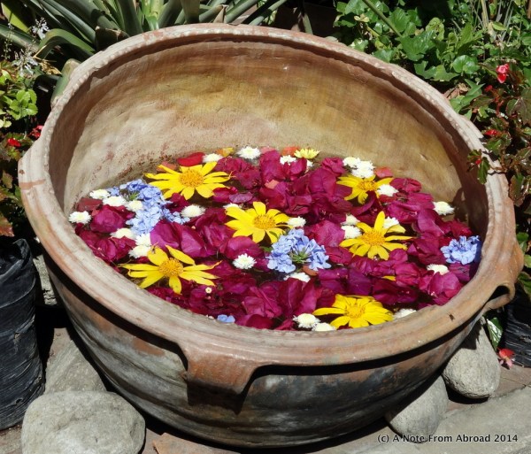 Pot of flowers