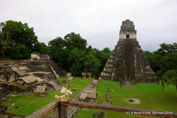Gus got to go with us to see the Grand Plaza