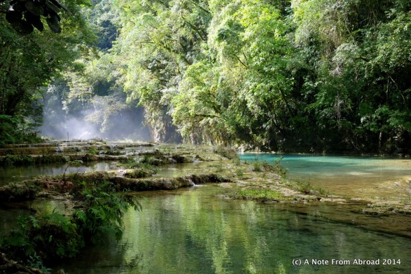 Love this shot that Tim took