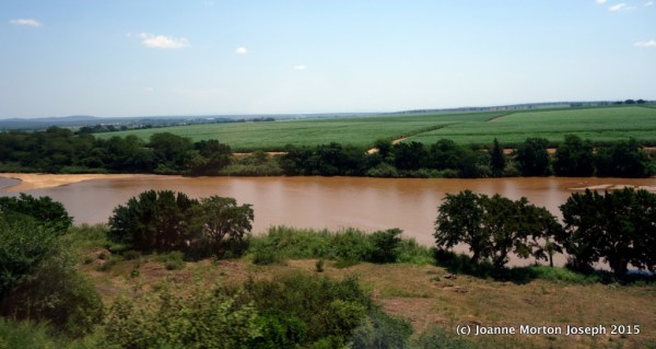 River in Swaziland