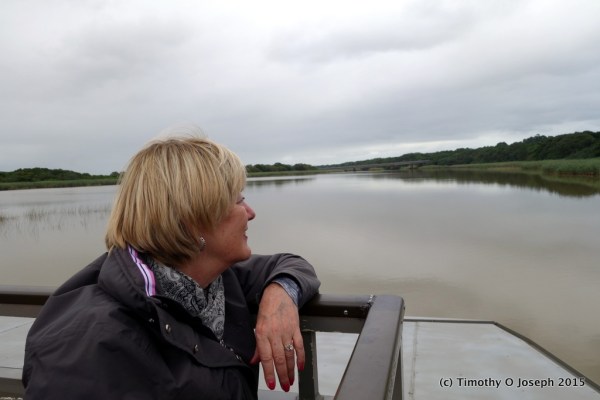 Prime viewing spot in the front of the boat