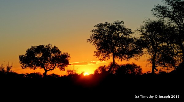 Sunset in Kruger National Park