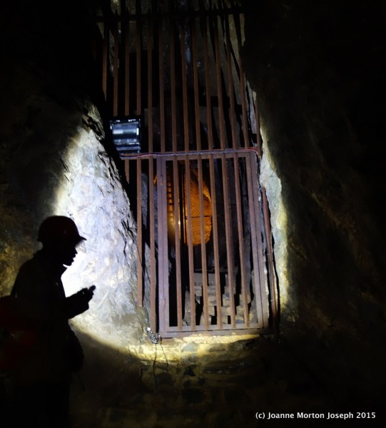 Actual site inside the cave where Mrs. Ples was found